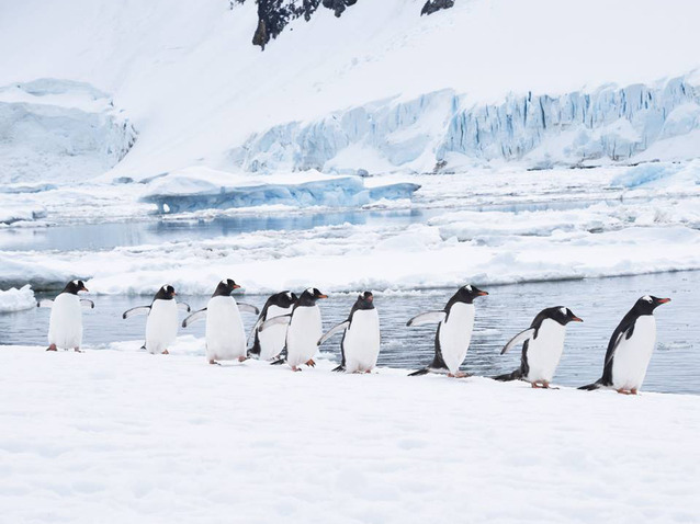 〈夢想旅人：吉光旅遊「南極」講座重點整理〉極地探險 ‧企鵝攝獵