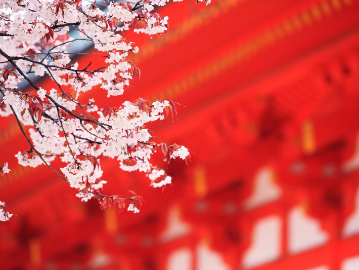 〈SmartM夢想旅人：吉光旅遊「京都」講座重點整理〉傑利帶路－京都十年，四季絕美之旅