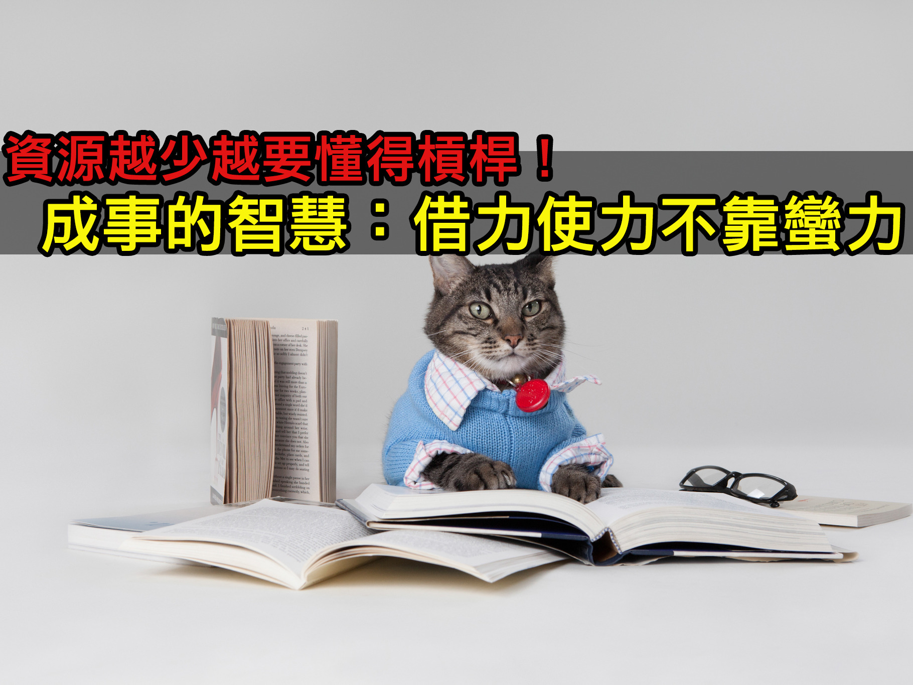 資源越少越要懂得槓桿！洪大倫：成事的智慧，借力使力不靠蠻力